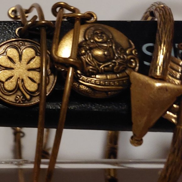 MAKE AN OFFER OR TRADE~ALEX AND ANI BRACELETS! BRONZE AND GOLD TONE BUNDLE! - Picture 5 of 8